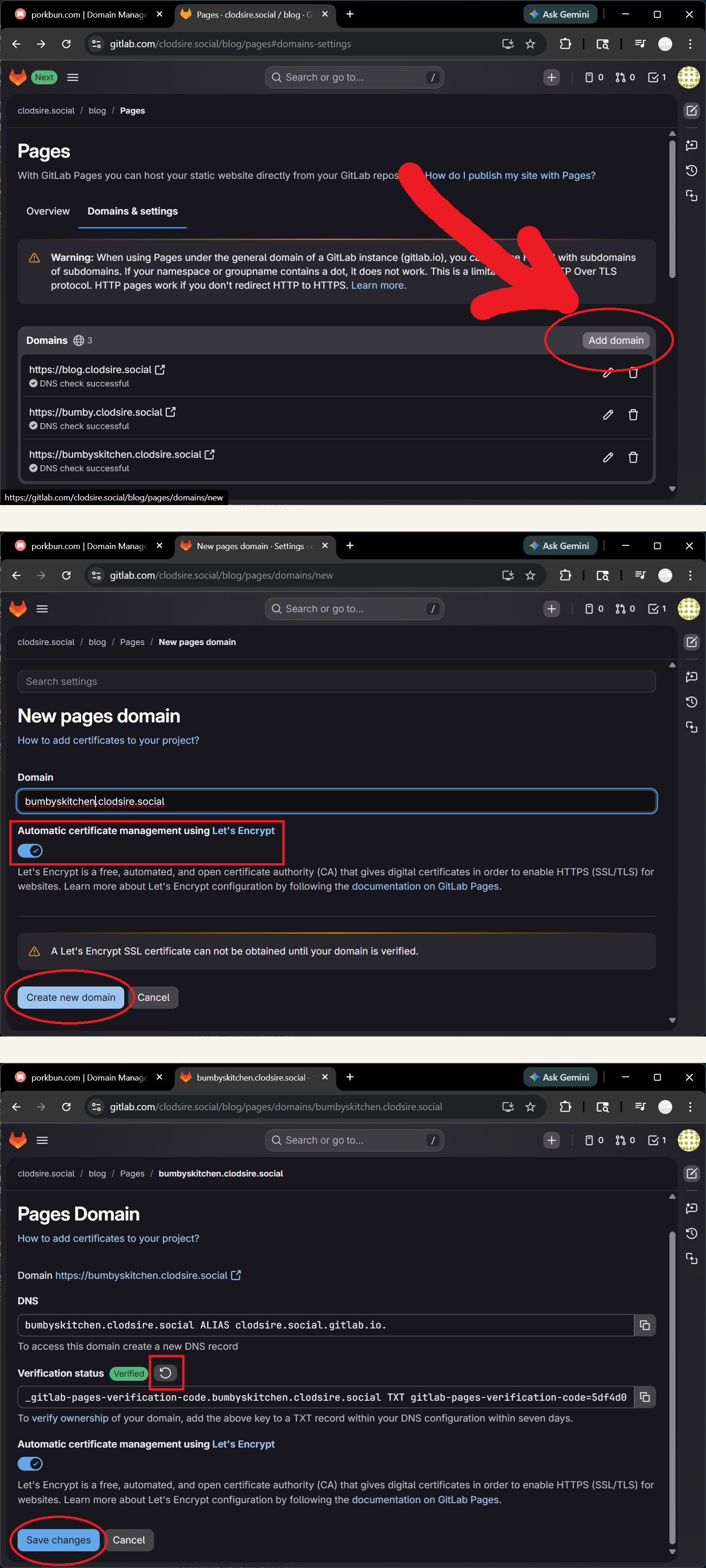 Screenshots of the instructions shown previously showing how to verify your subdomain to gitlab.