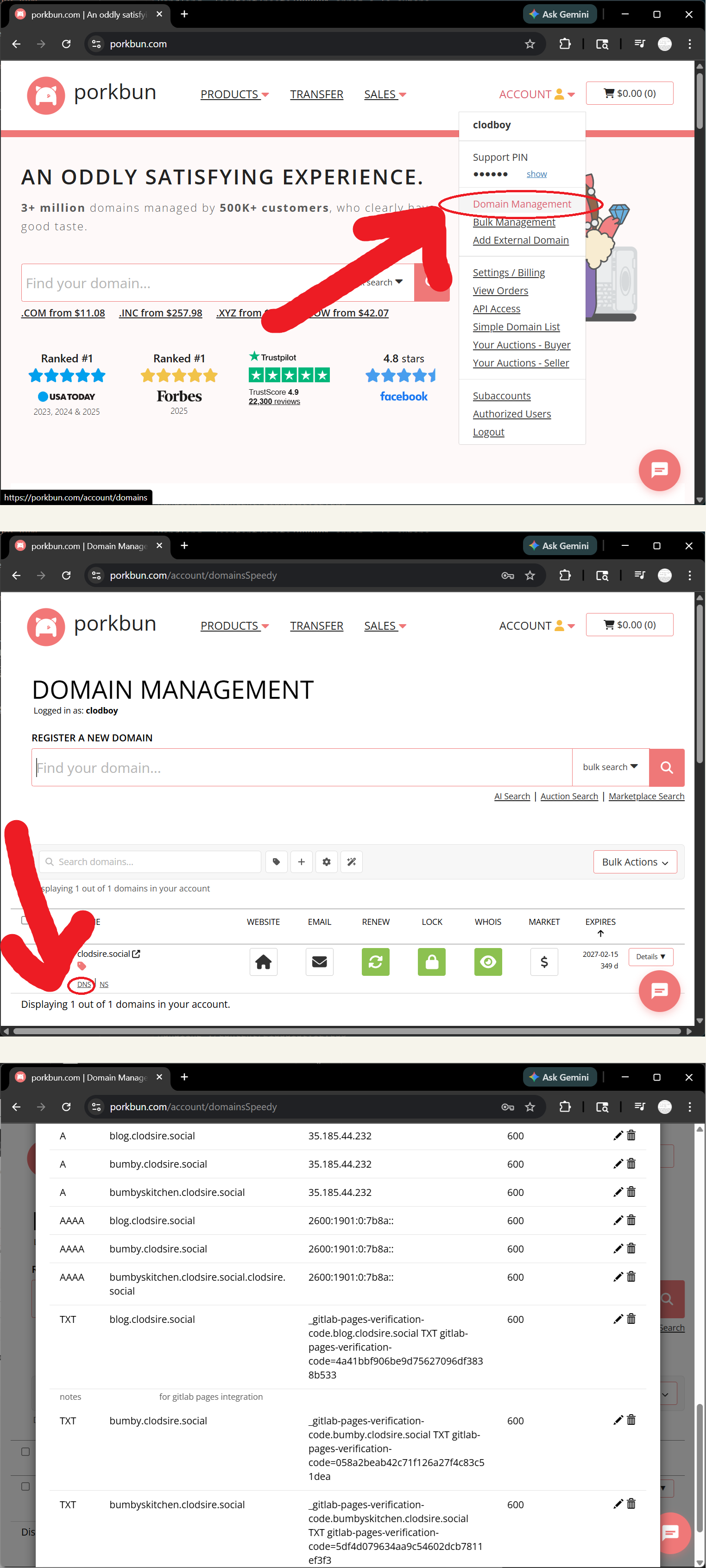 Three screenshots showing how to access your domain management page from the Porkbun homepage and what the DNS records should look like for your all of your subdomains.